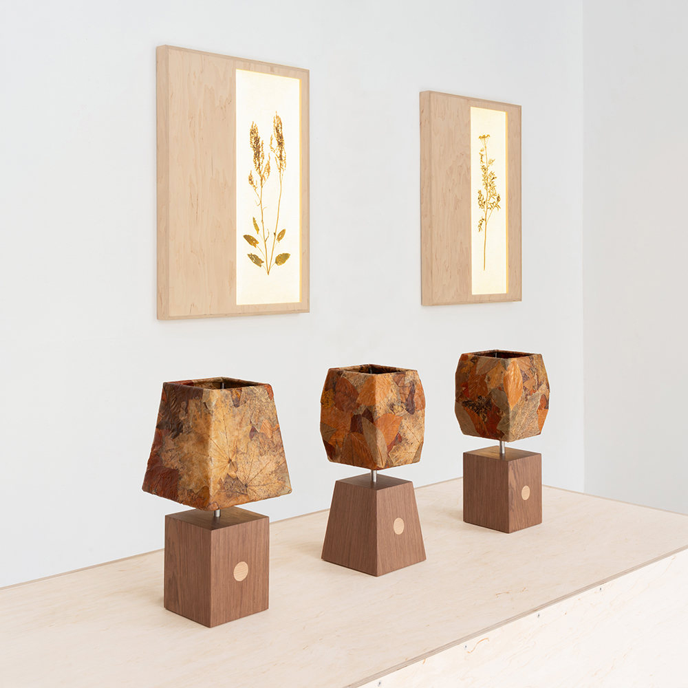 Folium Lamp II 4