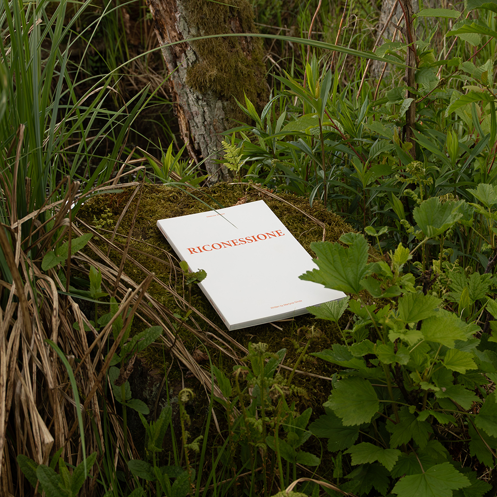 Riconessione Publication 1