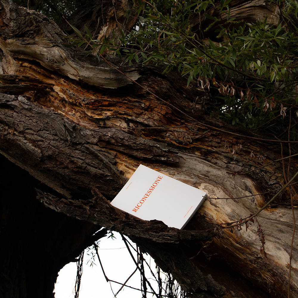 Riconessione Publication 5