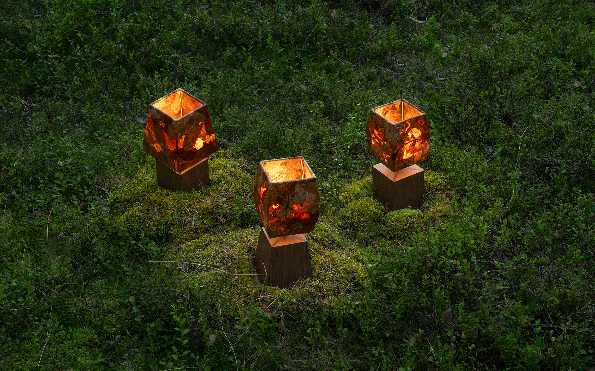 Three folium lamps