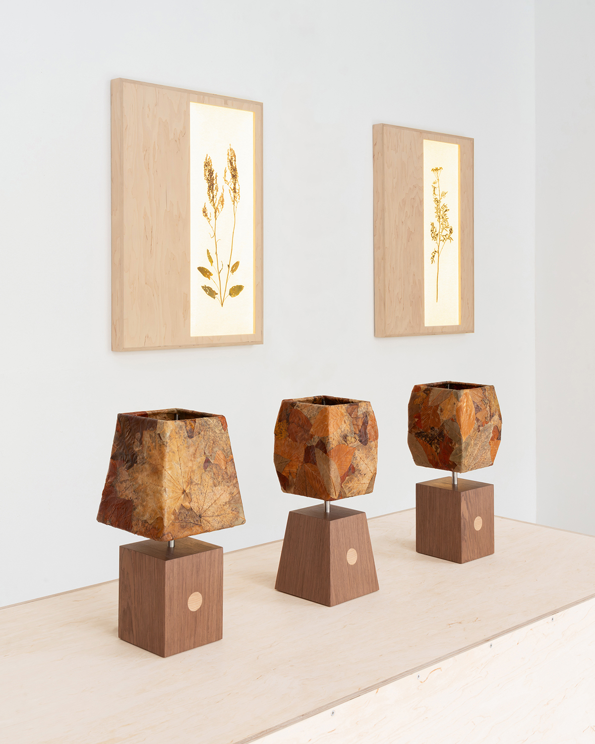 Three Folium Lamps in a gallery