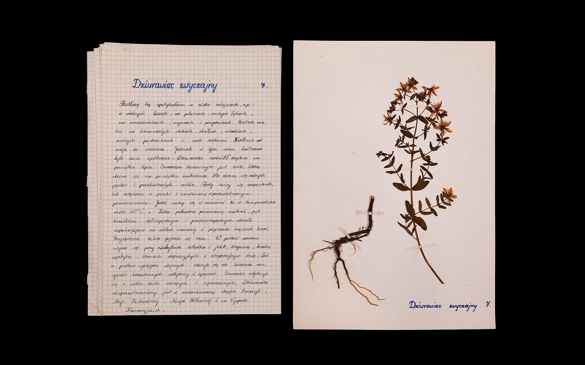 Botanical specimens catalog