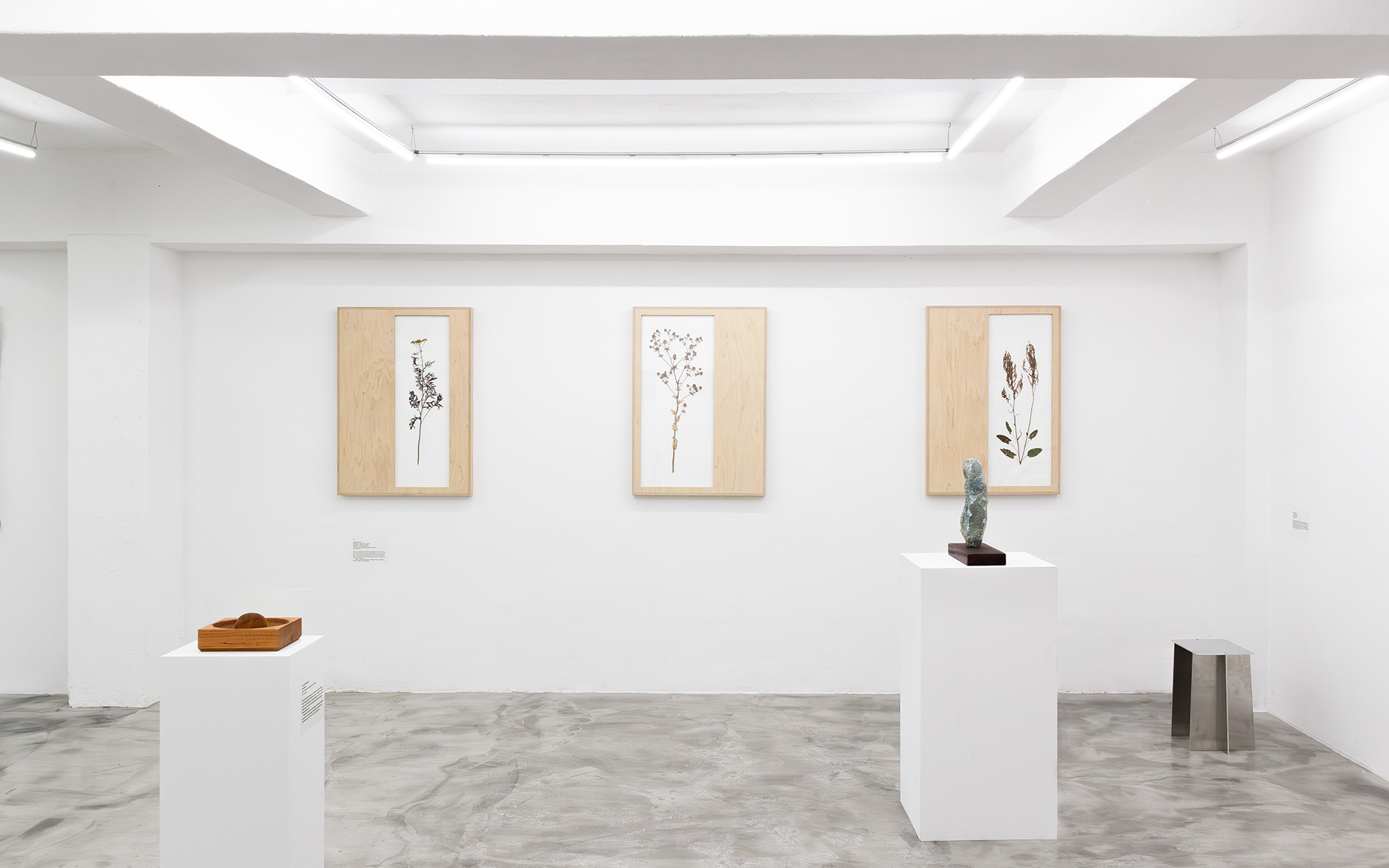 Three Herbarium pieces in a gallery
