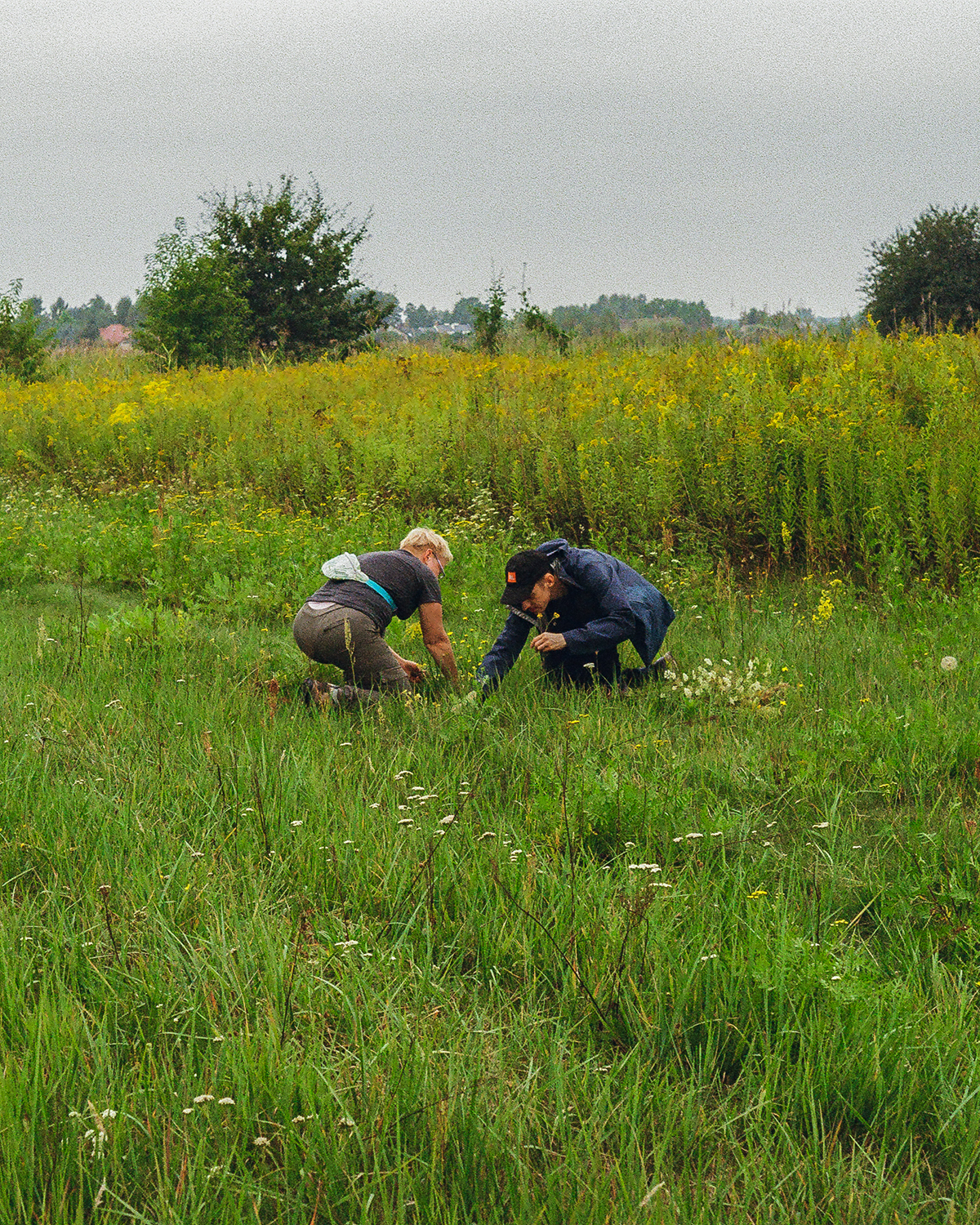 Mateusz and Elżbieta picking specimens for Herbarium