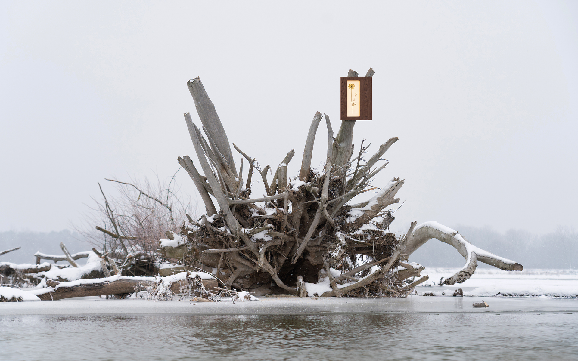 Herbarium Mini surrounded by a river in the winter
