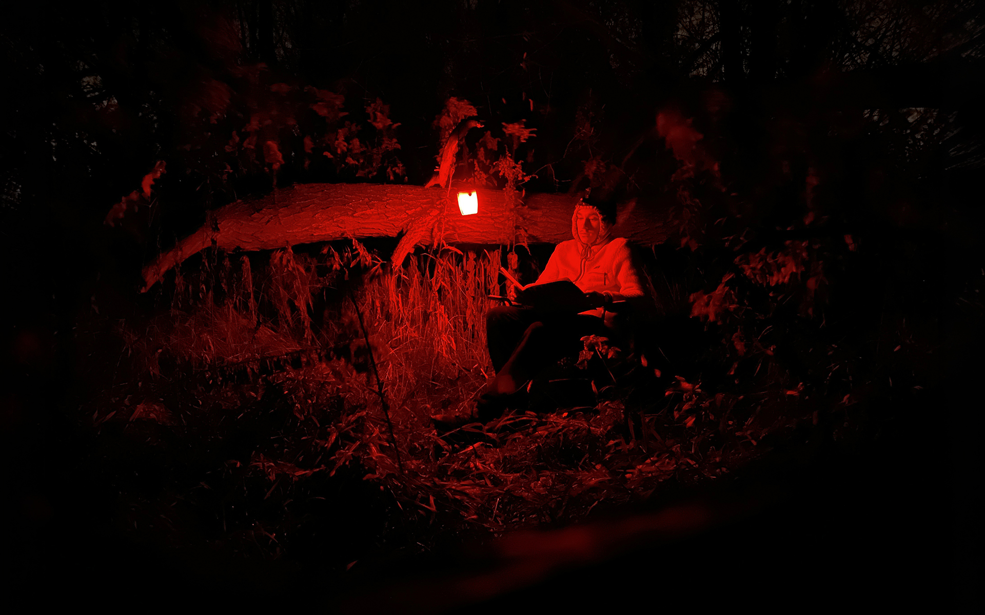 Mateusz reading in the darkness of the forest