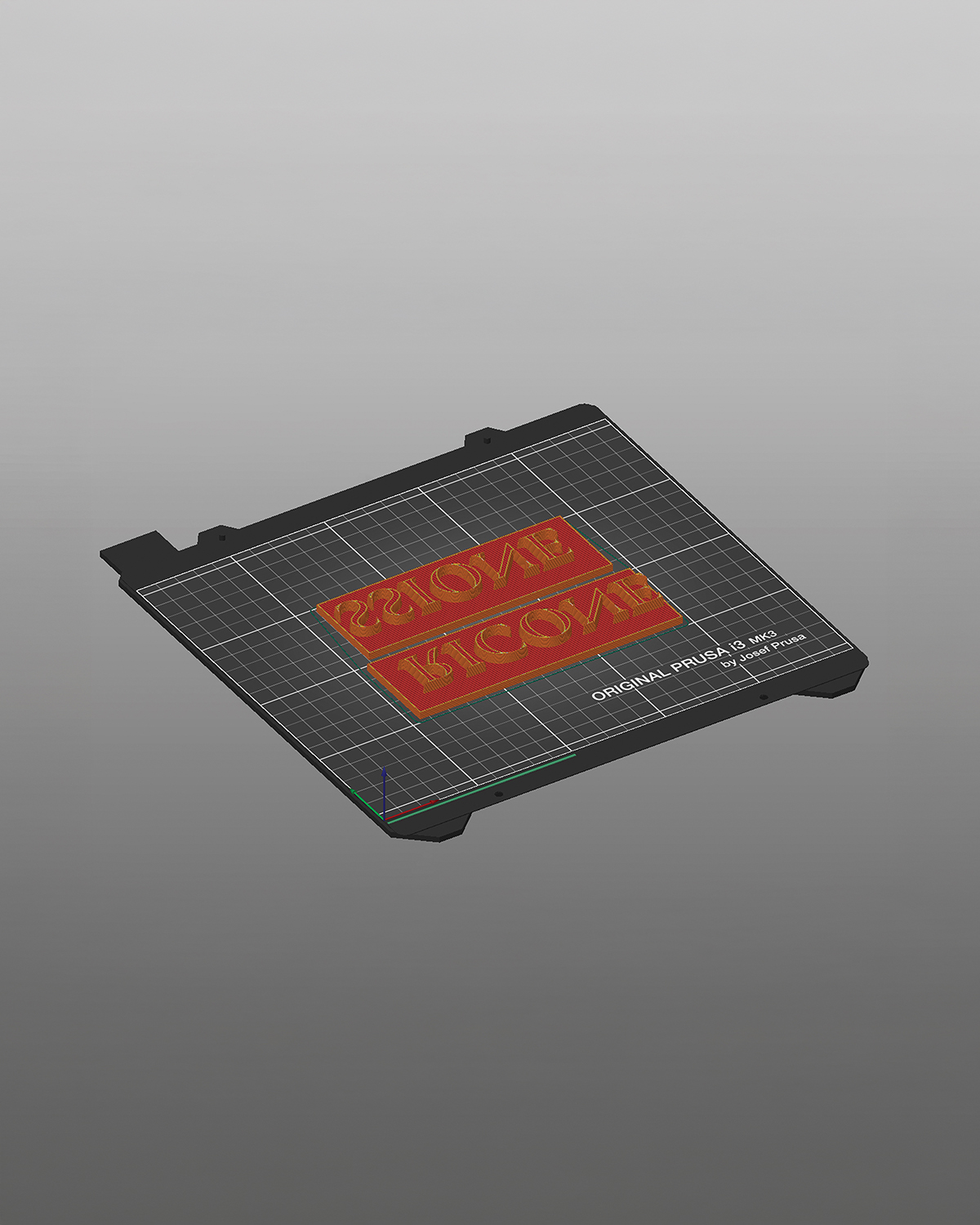 The project of 3d-printed manifesto