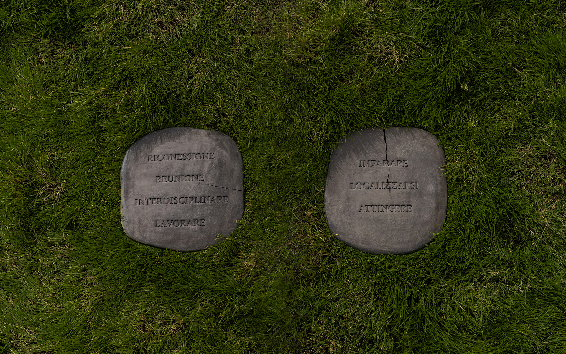 Riconessione tablets on a grass