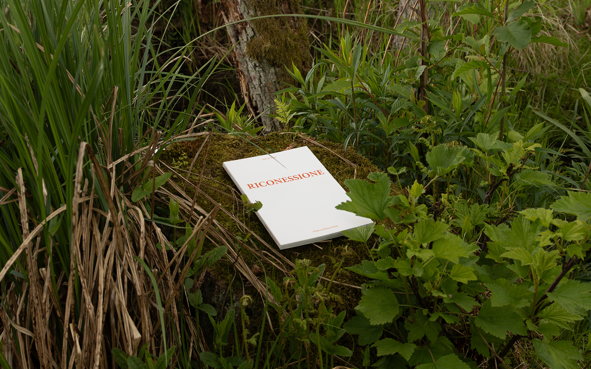 Riconessione Publication lying amongst the nature